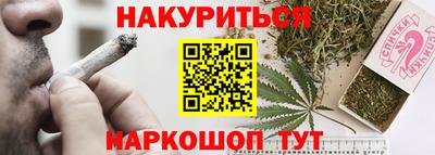 дмт Аргун