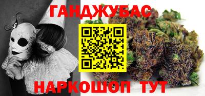 дмт Аргун