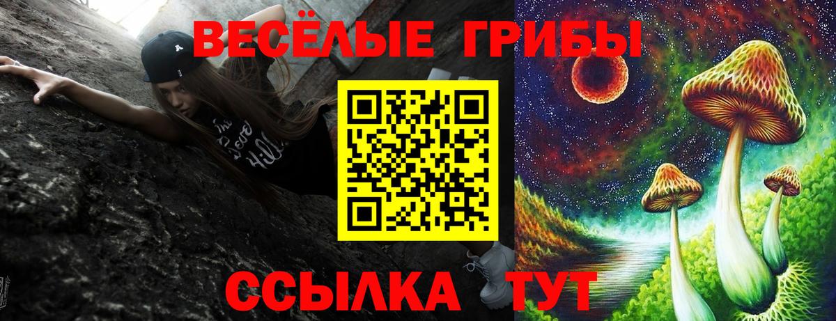 Псилоцибиновые грибы ЛСД Белогорск
