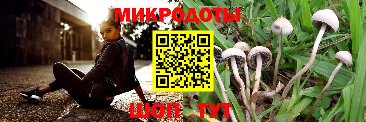 Псилоцибиновые грибы Cubensis  магазин продажи   Белогорск  Вход с VPN 